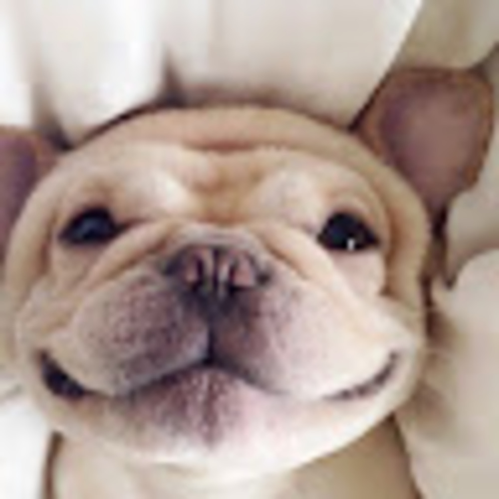 Meet your Posher, Lucia